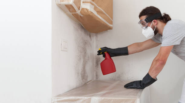 Professional Bathroom Mold Removal technician working in Clinton, NY