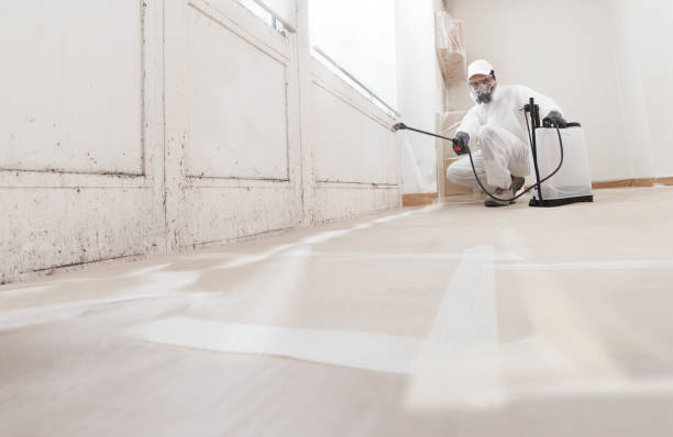 24/7 Emergency Bathroom Mold Removal experts in Clinton, NY